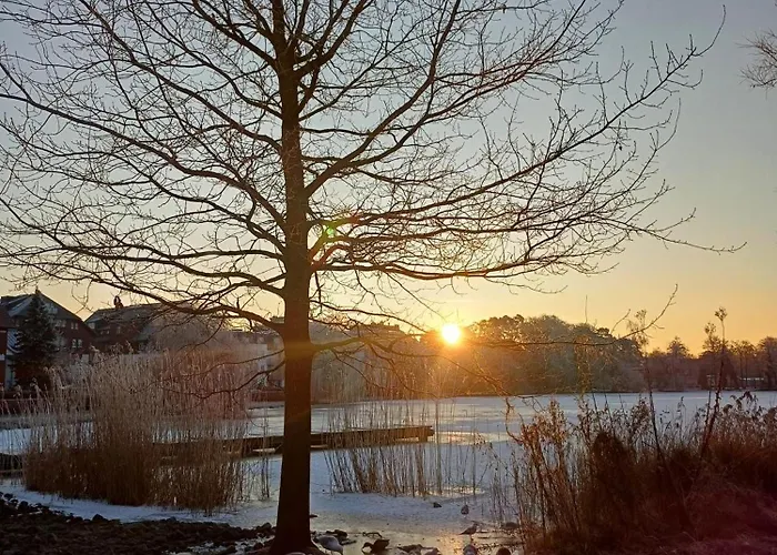 Daire Seehof 1.33 Heringsdorf