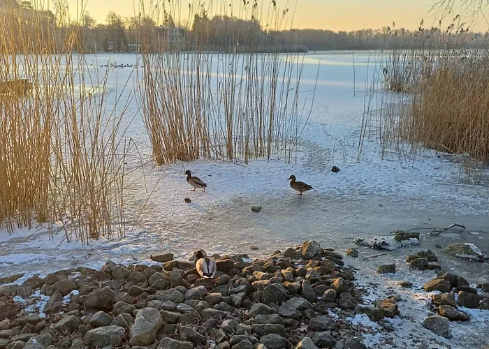 Daire Seehof 1.33 Heringsdorf